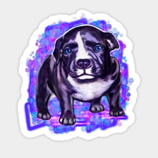 pit bull dog puppy painting - cute blue line pittie with piercing blue eyes Sticker